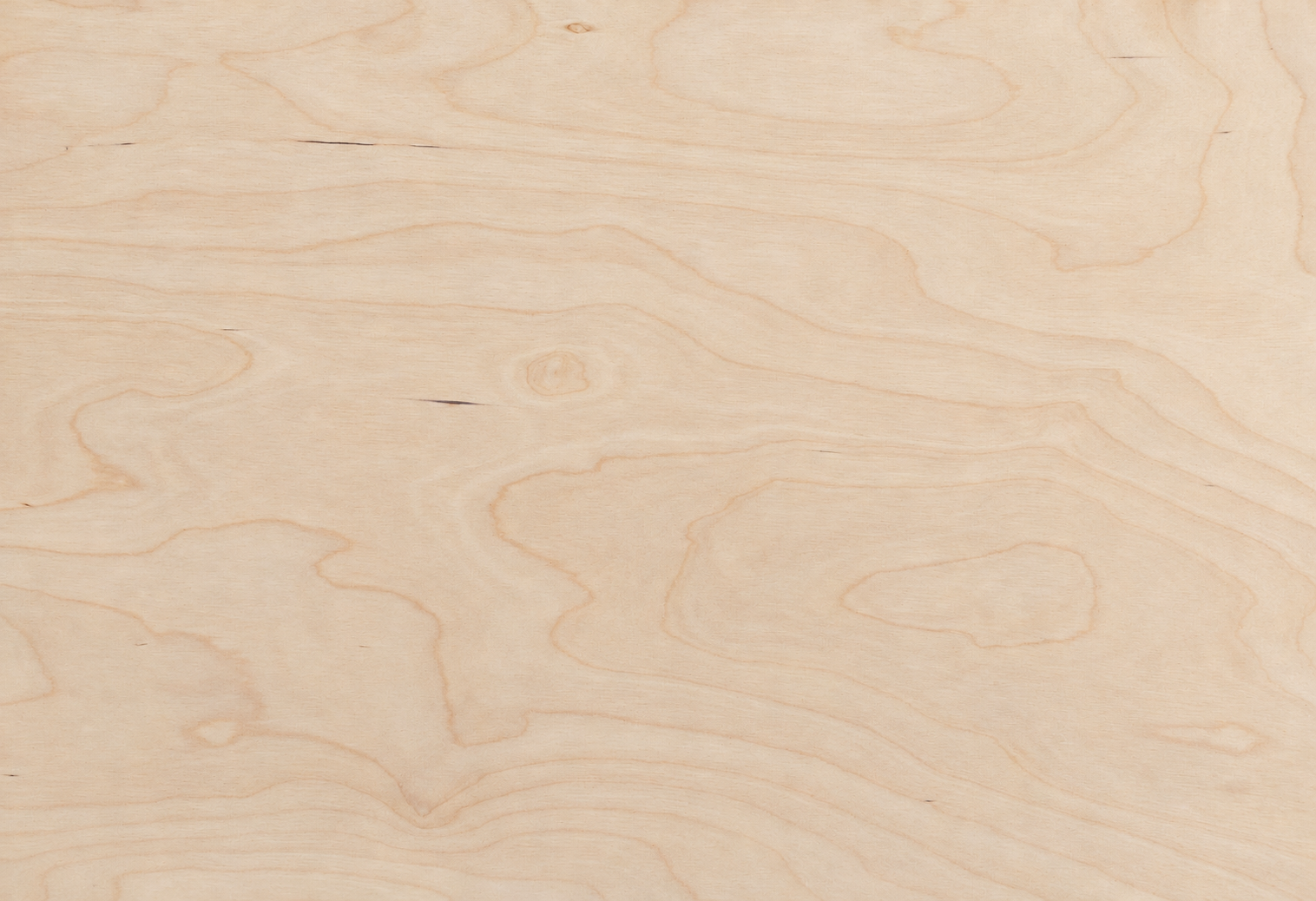 Birch plywood — natural character, everyday strength